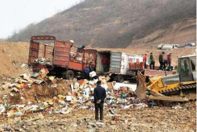 1570849639770693.jpg D13.jpg