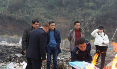 1570849706382317.jpg D16.jpg